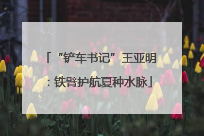 “铲车书记”王亚明：铁臂护航夏种水脉
