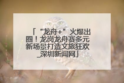 “龙舟+”火爆出圈！龙岗龙舟赛多元新场景打造文旅狂欢_深圳新闻网