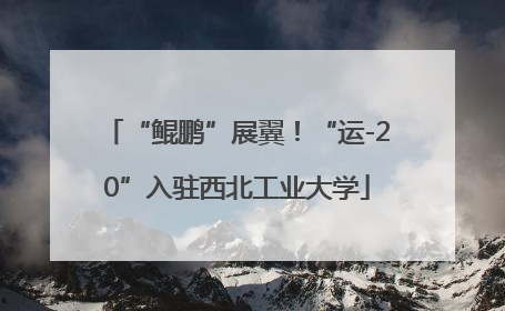 “鲲鹏”展翼！“运-20”入驻西北工业大学