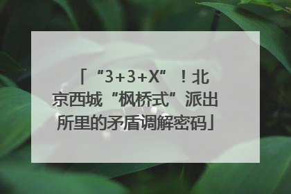 “3+3+X”！北京西城“枫桥式”派出所里的矛盾调解密码
