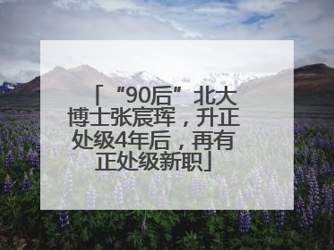 “90后”北大博士张宸珲，升正处级4年后，再有正处级新职