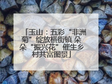 玉山：五彩“非洲菊”绽放横街镇 朵朵“振兴花”催生乡村共富图景