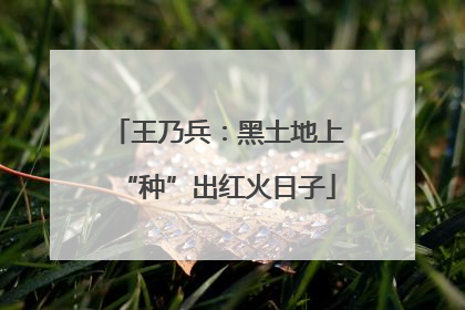 王乃兵：黑土地上“种”出红火日子