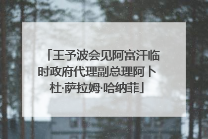 王予波会见阿富汗临时政府代理副总理阿卜杜·萨拉姆·哈纳菲