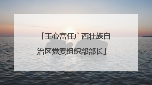王心富任广西壮族自治区党委组织部部长