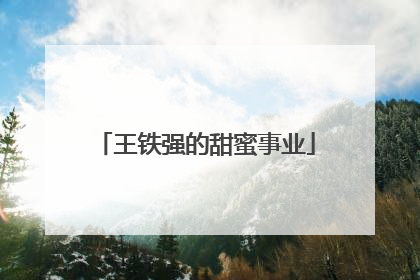 王铁强的甜蜜事业