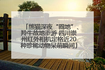 熊猫深夜“圈地”、羚牛故地重游 四川崇州红外相机定格近20种珍稀动物呆萌瞬间