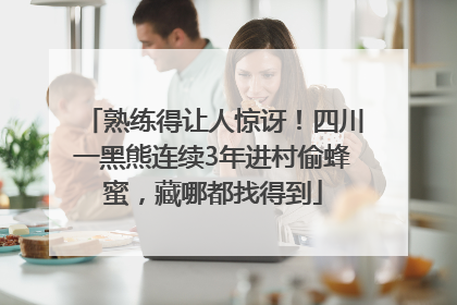 熟练得让人惊讶！四川一黑熊连续3年进村偷蜂蜜，藏哪都找得到