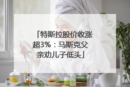 特斯拉股价收涨超3%：马斯克父亲劝儿子低头