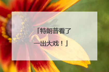 特朗普看了一出大戏！