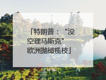 特朗普：“没空理马斯克” 欧洲抛橄榄枝