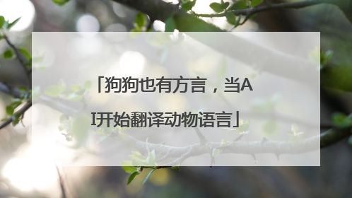 狗狗也有方言，当AI开始翻译动物语言