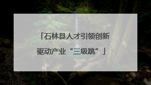 石林县人才引领创新驱动产业“三级跳”