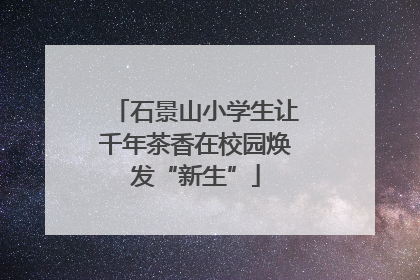 石景山小学生让千年茶香在校园焕发“新生”