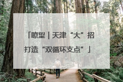 瞭望｜天津“大”招打造“双循环支点”