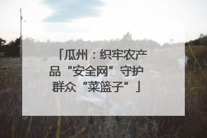瓜州：织牢农产品“安全网”守护群众“菜篮子”
