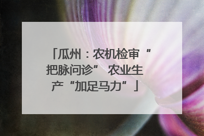 瓜州：农机检审“把脉问诊” 农业生产“加足马力”
