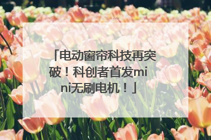 电动窗帘科技再突破！科创者首发mini无刷电机！