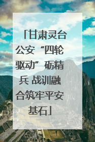 甘肃灵台公安“四轮驱动”砺精兵 战训融合筑牢平安基石