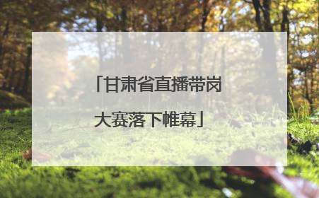 甘肃省直播带岗大赛落下帷幕