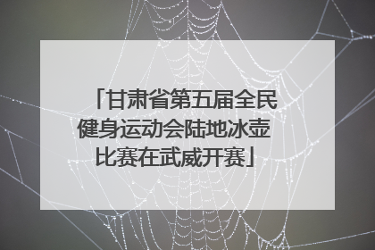 甘肃省第五届全民健身运动会陆地冰壶比赛在武威开赛