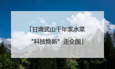 甘肃武山千年浆水菜“科技焕新”走全国