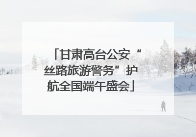 甘肃高台公安“丝路旅游警务”护航全国端午盛会