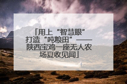 用上“智慧眼” 打造“吨粮田”——陕西宝鸡一座无人农场夏收见闻