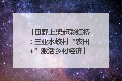 田野上架起彩虹桥：三亚水蛟村“农田+”激活乡村经济