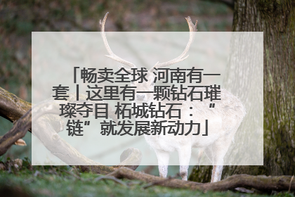 畅卖全球 河南有一套丨这里有一颗钻石璀璨夺目 柘城钻石：“链”就发展新动力