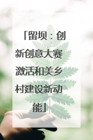 留坝：创新创意大赛激活和美乡村建设新动能