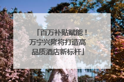 百万补贴赋能！万宁兴隆将打造高品质酒店新标杆