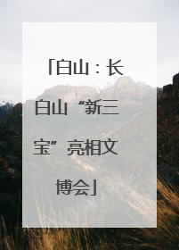 白山：长白山“新三宝”亮相文博会