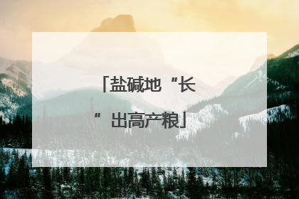 盐碱地“长”出高产粮