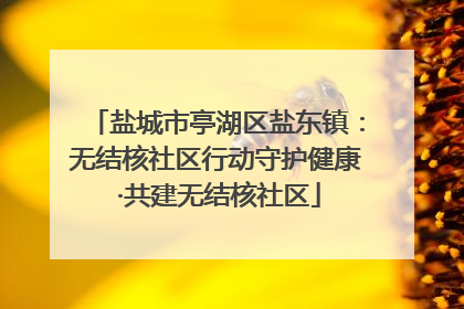盐城市亭湖区盐东镇：无结核社区行动守护健康 ·共建无结核社区