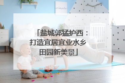 盐城郭猛护西：打造宜居宜业水乡田园新美景