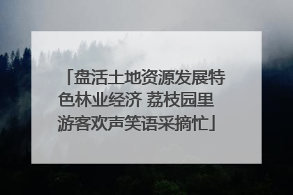 盘活土地资源发展特色林业经济 荔枝园里游客欢声笑语采摘忙