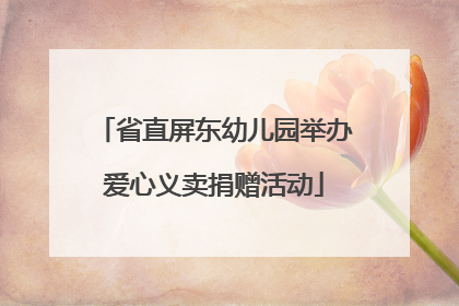 省直屏东幼儿园举办爱心义卖捐赠活动