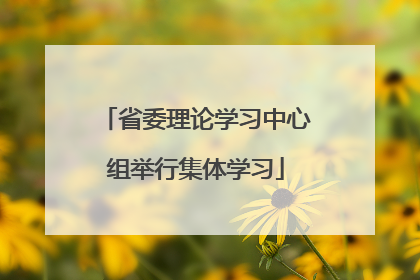 省委理论学习中心组举行集体学习