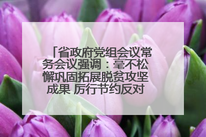 省政府党组会议常务会议强调：毫不松懈巩固拓展脱贫攻坚成果 厉行节约反对浪费弘扬优良作风