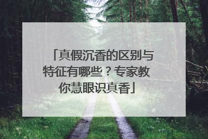 真假沉香的区别与特征有哪些？专家教你慧眼识真香