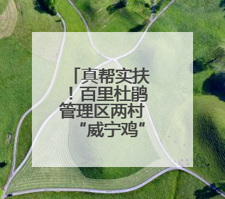 真帮实扶！百里杜鹃管理区两村“威宁鸡”产销两旺