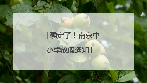 确定了！南京中小学放假通知