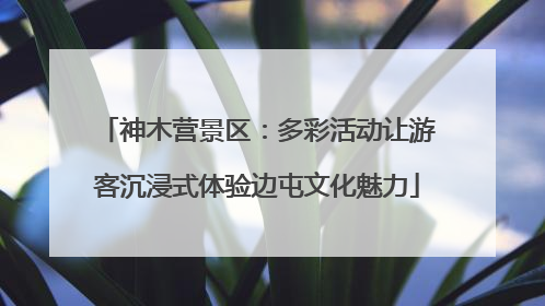 神木营景区：多彩活动让游客沉浸式体验边屯文化魅力