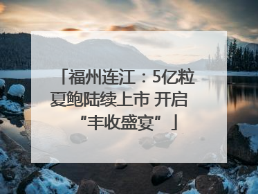 福州连江：5亿粒夏鲍陆续上市 开启“丰收盛宴”