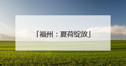 福州：夏荷绽放