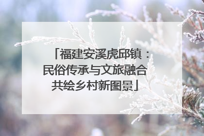 福建安溪虎邱镇：民俗传承与文旅融合共绘乡村新图景