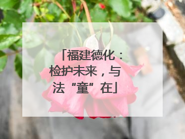 福建德化：检护未来，与法“童”在