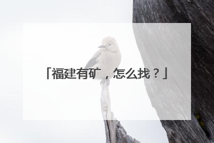 福建有矿，怎么找？