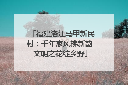 福建洛江马甲新民村：千年家风拂新韵 文明之花绽乡野